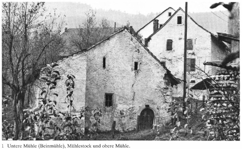 Mühle und Beimühle Büren SO